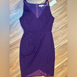 Elegant Purple Sleeveless Dress nwt